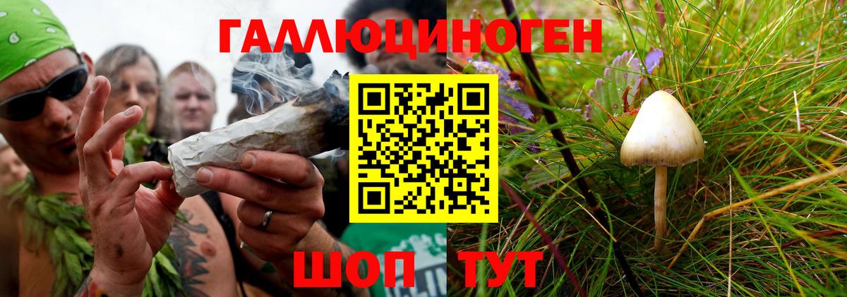 Псилоцибиновые грибы Magic Shrooms  сколько стоит  Строитель  Галлюциногенные грибы Psilocybe  Вход с VPN 